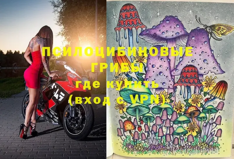 Псилоцибиновые грибы MAGIC MUSHROOMS  кракен tor  Артёмовский 